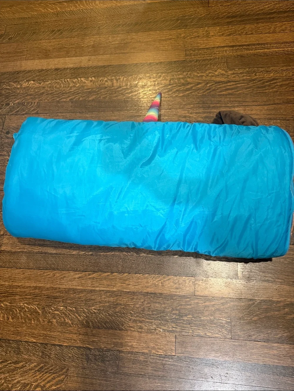 Justice Dream Like a Pugicorn Kids Sleeping Bag like new!